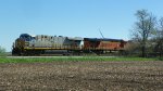 CN 3981